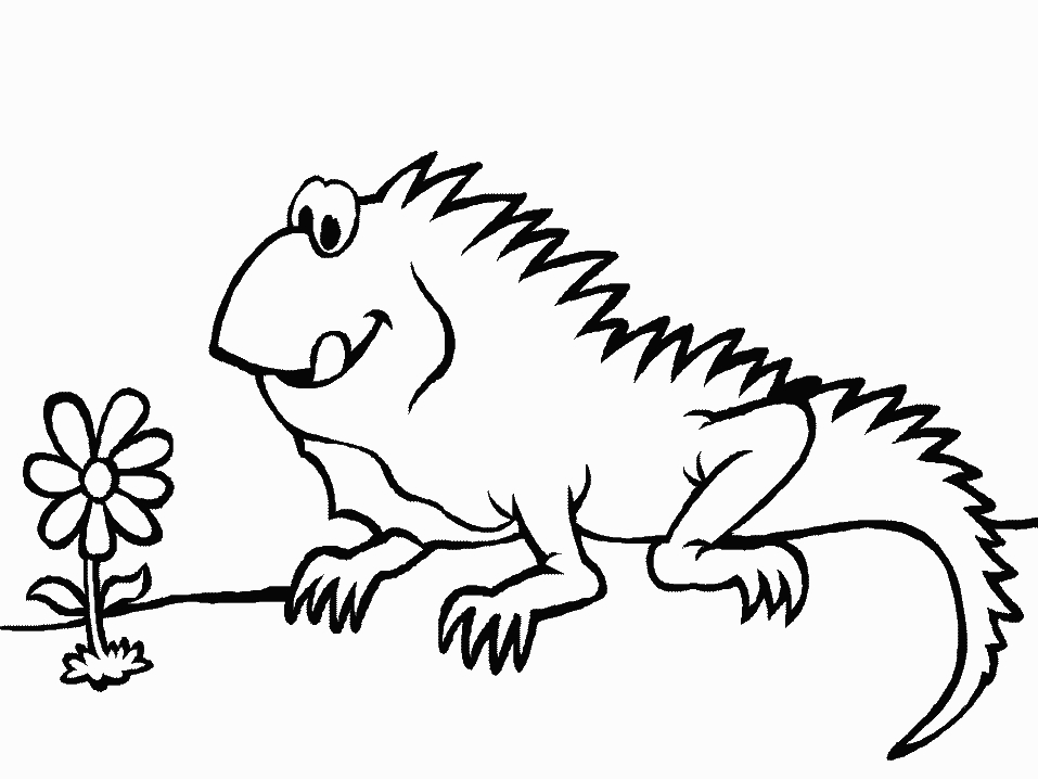Coloriage d'un iguane sur une branche au milieu de feuillage