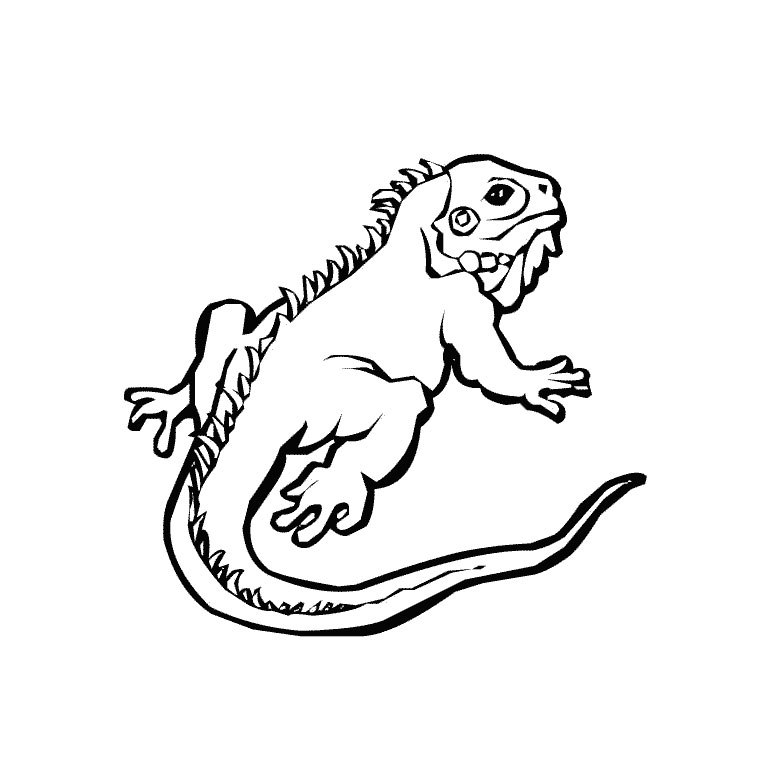 Coloriage d'un iguane sur une branche avec des feuilles