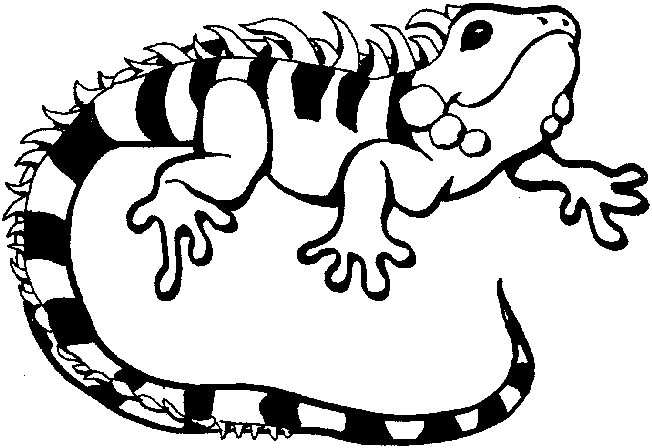 Coloriage d'un iguane sur un rocher au soleil