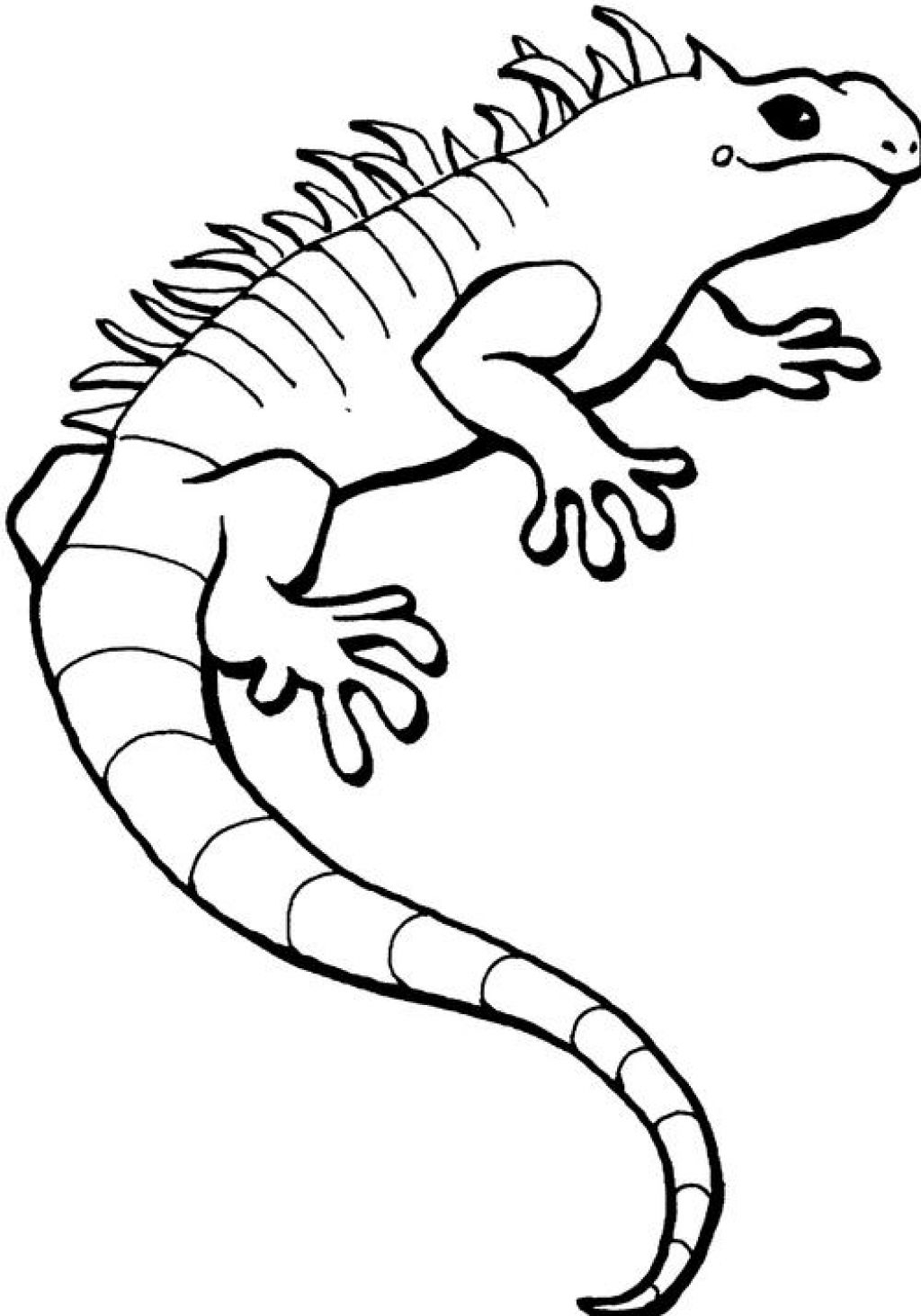 Coloriage d'un iguane grimpant sur une branche au cœur de la nature
