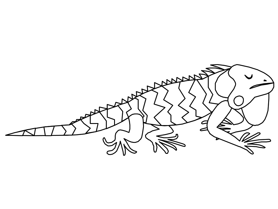 Coloriage d'un iguane paisible sur un rocher