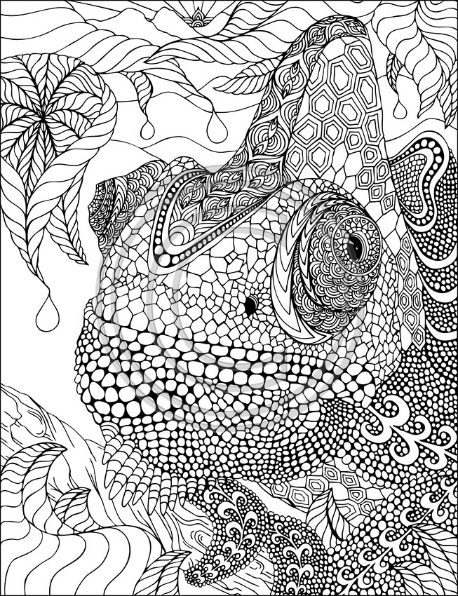 Coloriage d'un iguane se reposant sur une branche