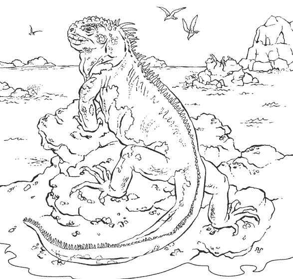 Coloriage d'un iguane sur un fond naturel