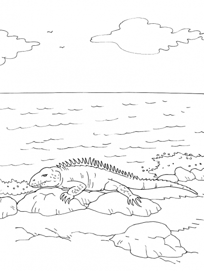 Coloriage d'un iguane sur un rocher avec des détails naturels