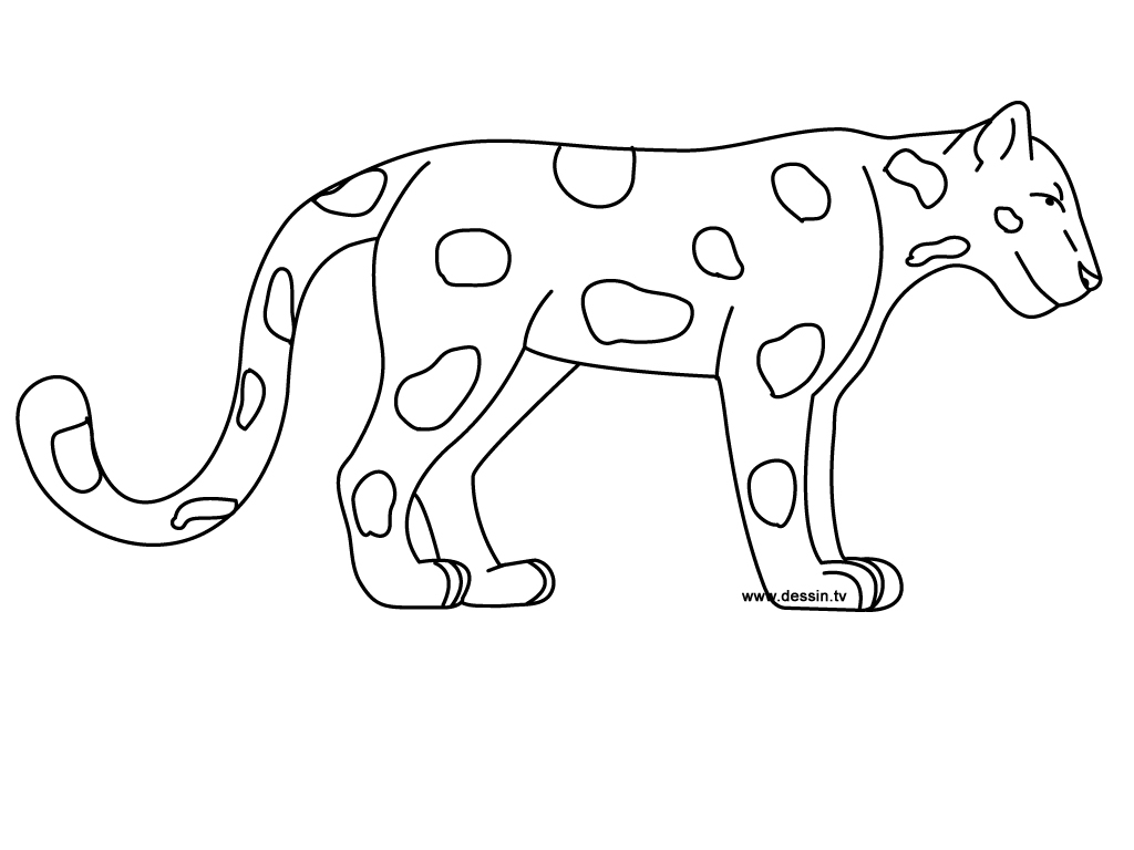 Coloriage d'un jaguar majestueux dans la jungle