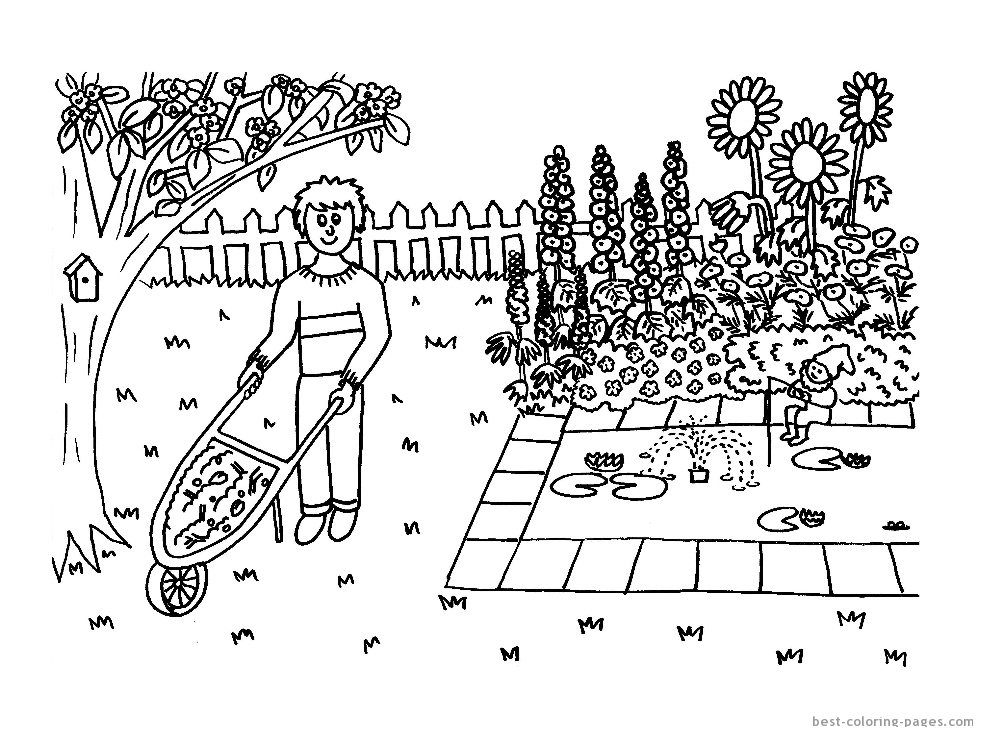 Un jardinier au travail dans son potager ensoleillé Un jardinier au travail dans son potager ensoleillé
