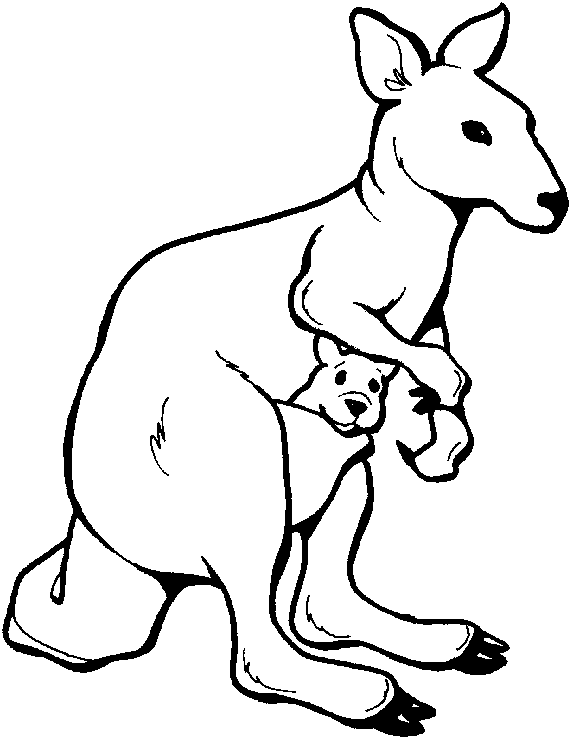 Un kangourou joyeux sautant dans un paysage naturel