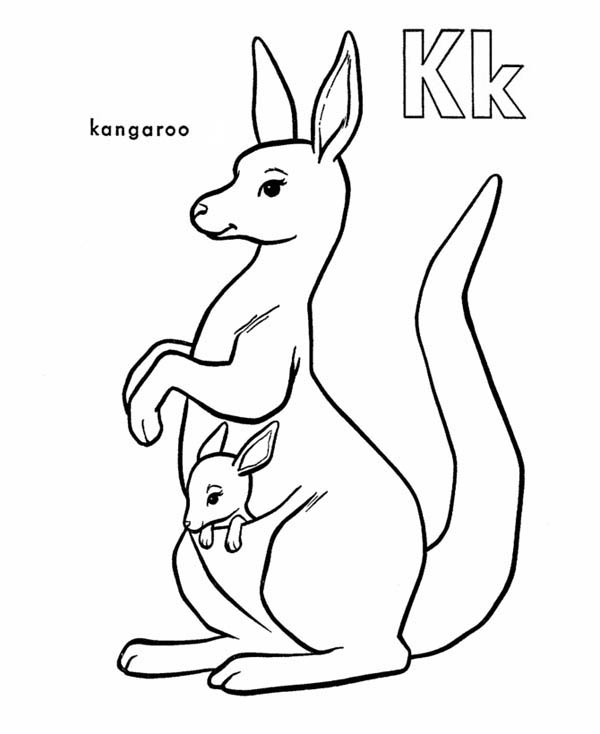 Un kangourou joyeux sautant dans la nature