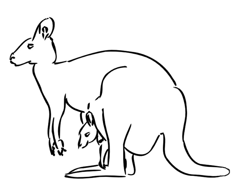 Kangourou joyeux sautant dans la nature