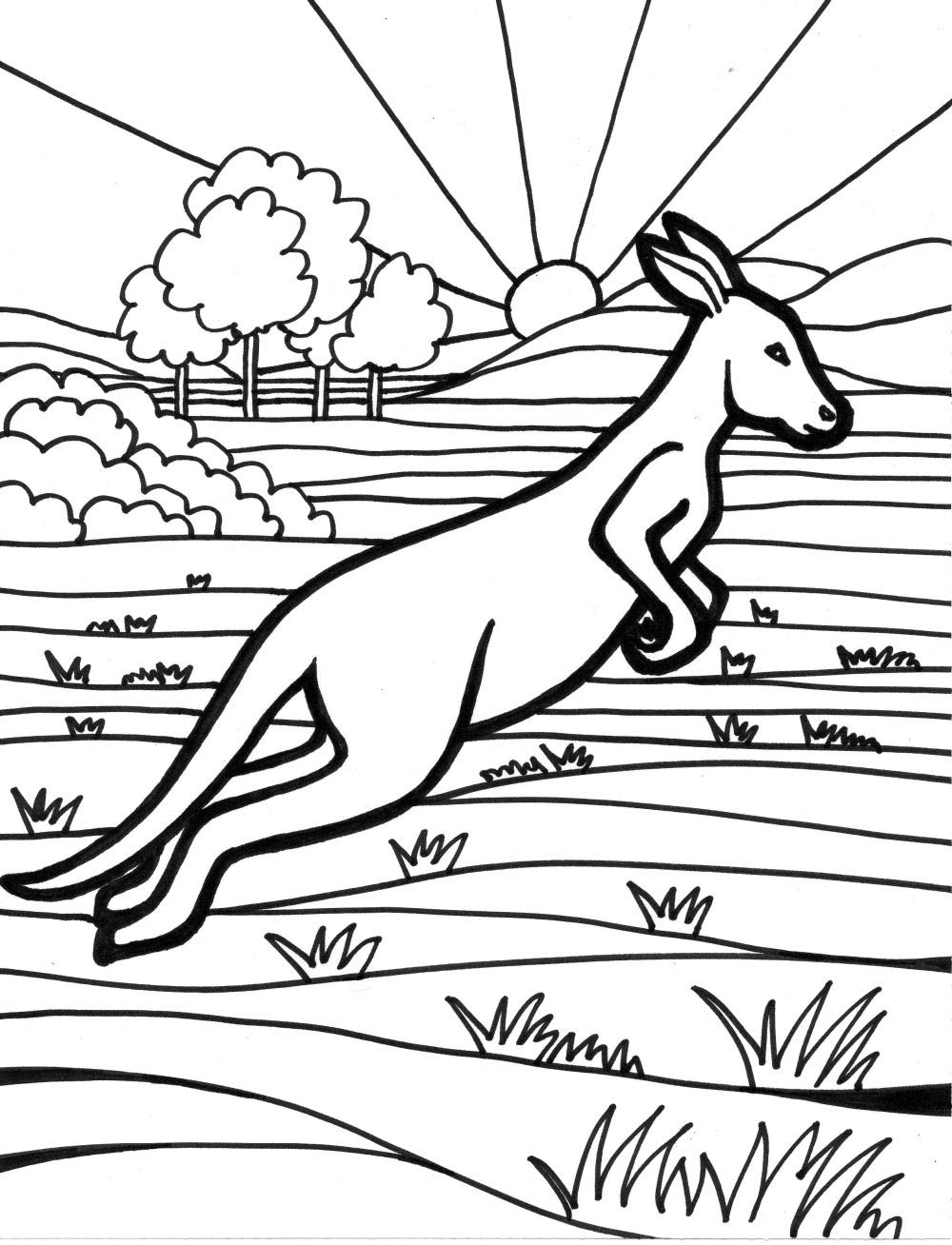Kangourou en train de sauter dans la nature