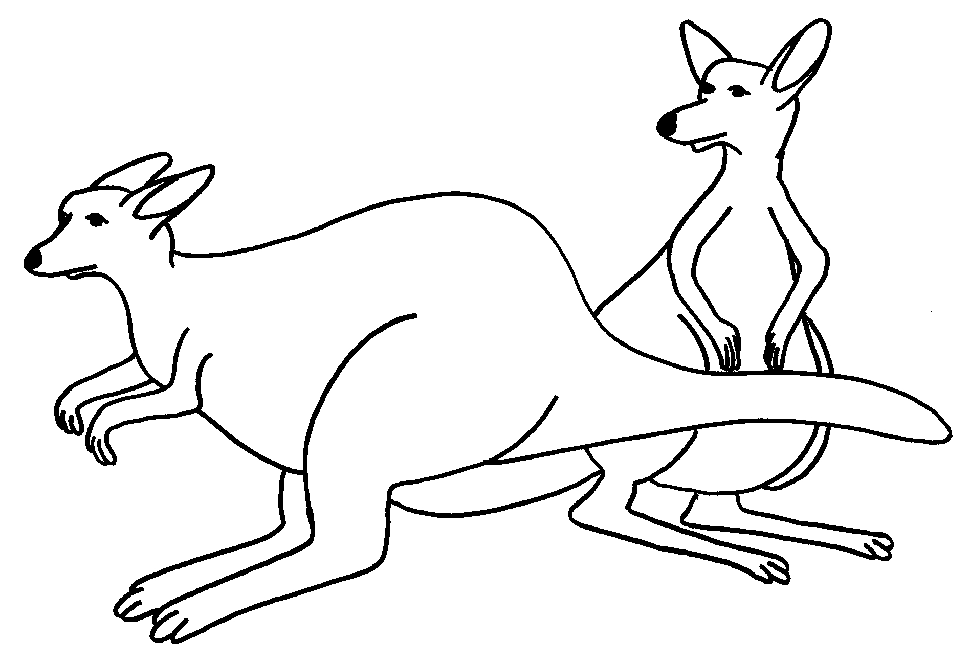 Kangourou bondissant dans un paysage naturel