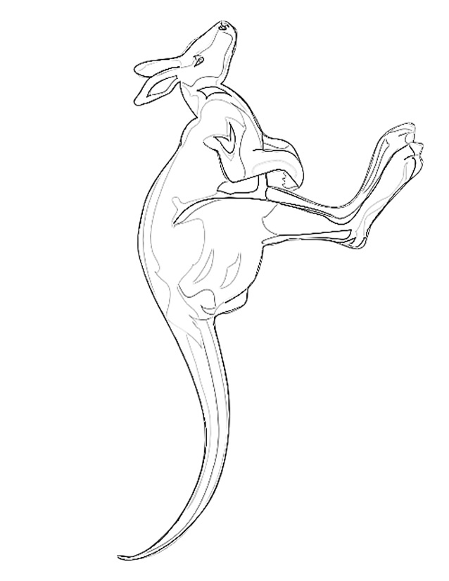 Un kangourou joyeux sautant dans la nature