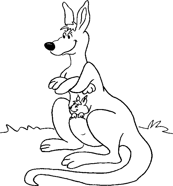Un kangourou joyeux dans son habitat naturel
