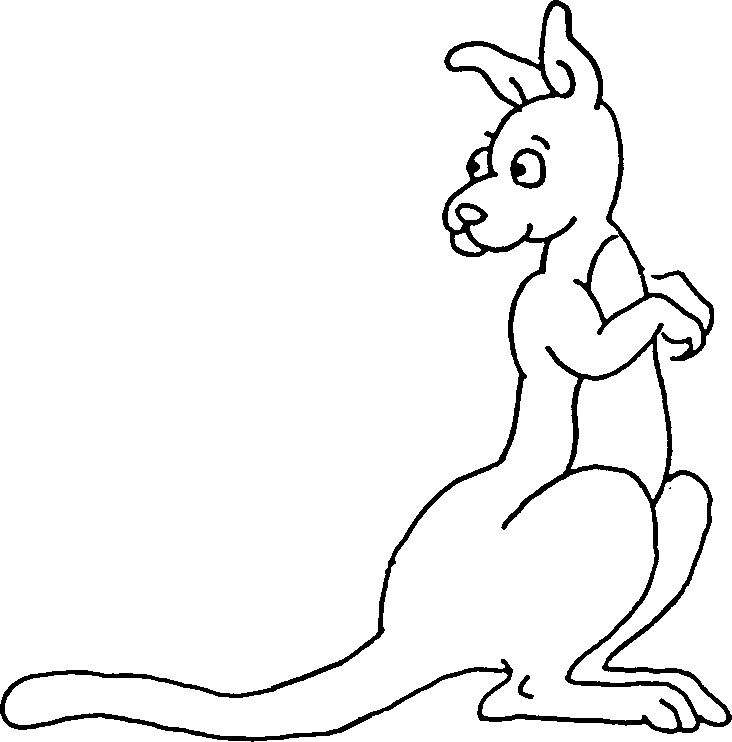 Un kangourou bondissant dans la nature