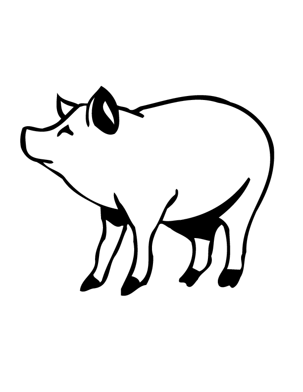 Un kangourou joyeux sautant dans la nature