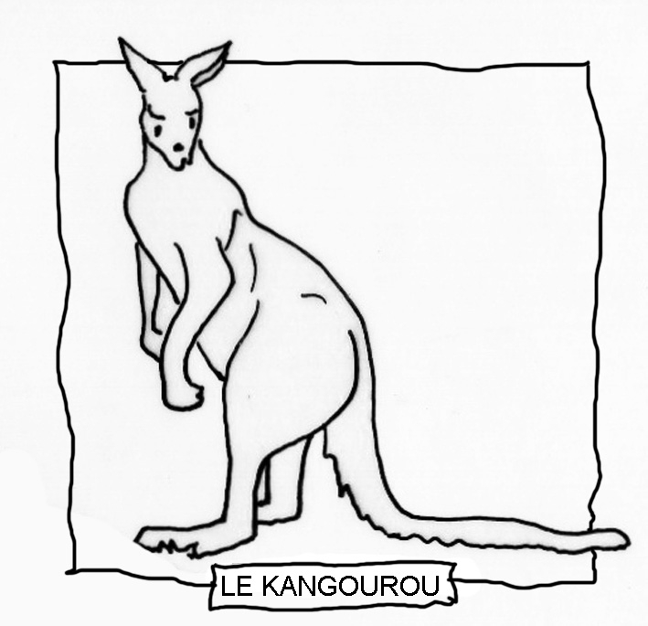 Kangourou sautant joyeusement dans un paysage naturel