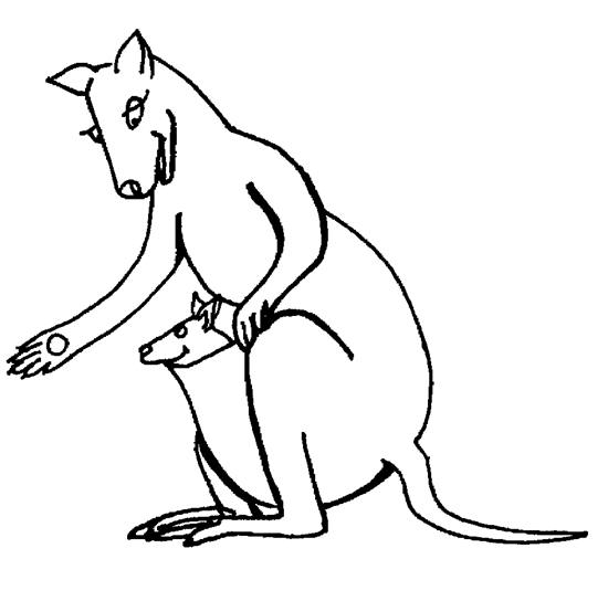 Un kangourou sautant joyeusement dans la nature