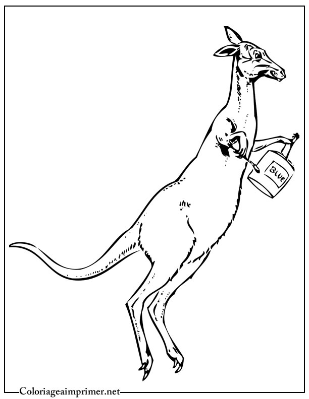 Un kangourou joyeux sautant dans son habitat naturel