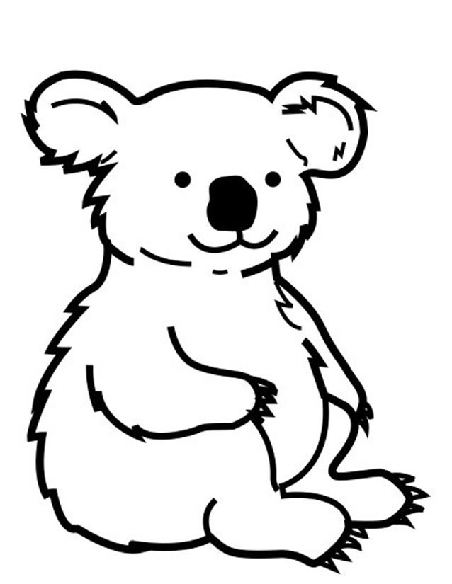 Koala se reposant sur une branche d'arbre