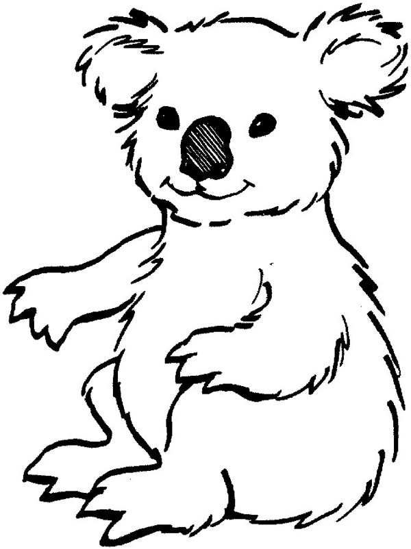 Un koala paisible se prélassant dans un arbre