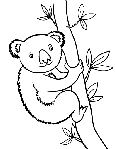Un koala paisible suspendu à une branche dans son habitat naturel