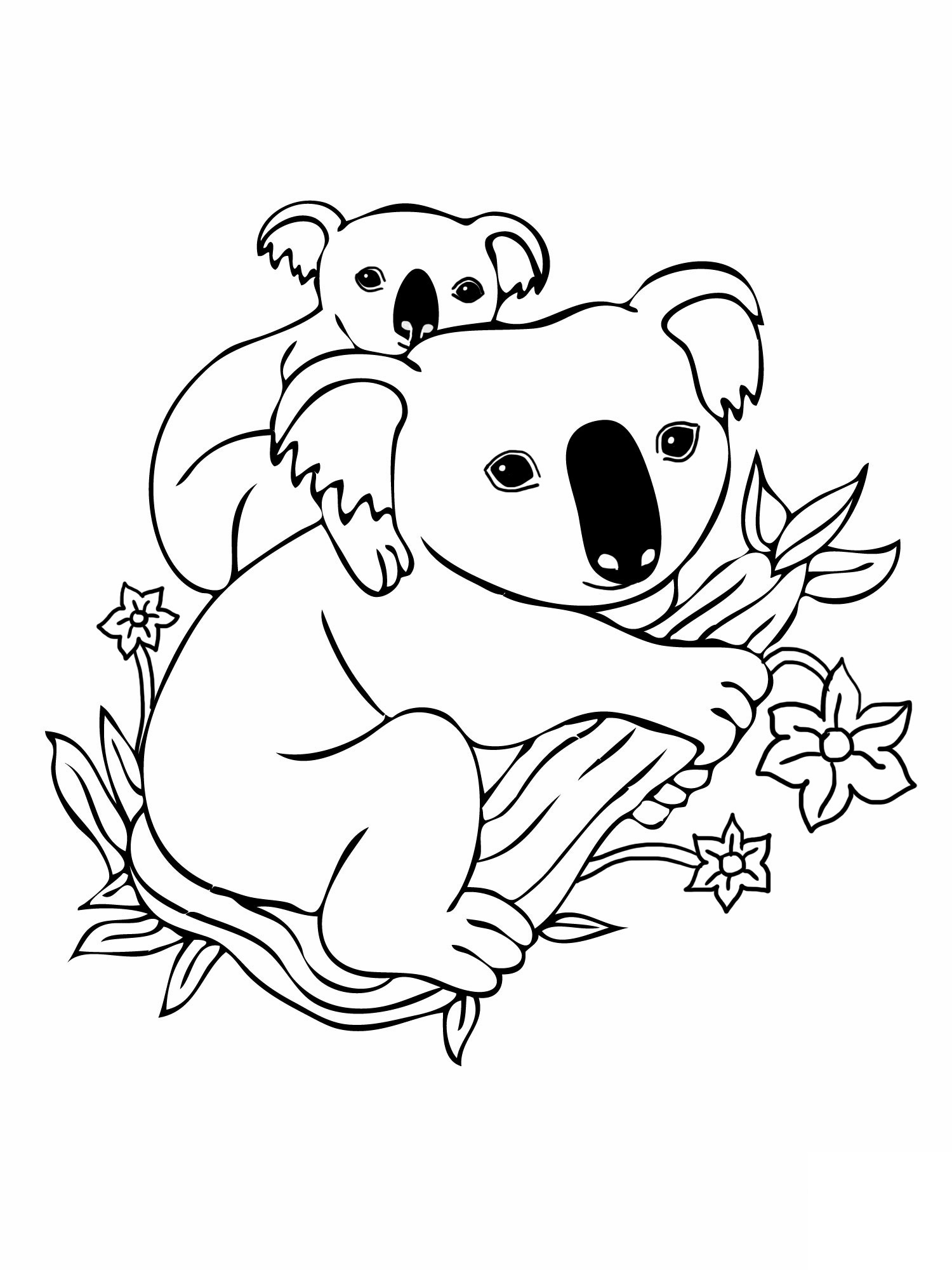 Un koala adorable perché sur une branche d'eucalyptus