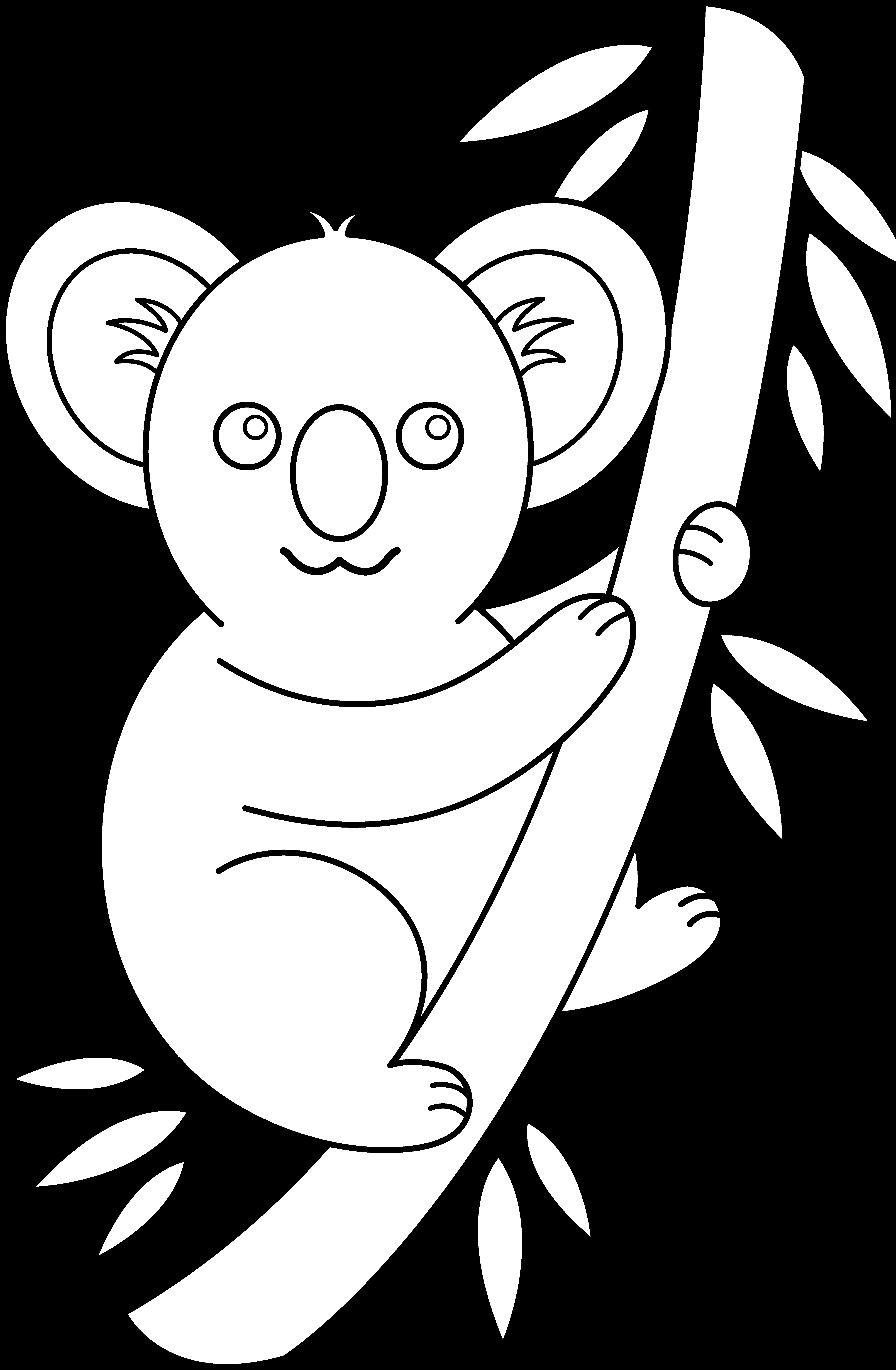 Un koala mignon se prélassant sur une branche d’eucalyptus