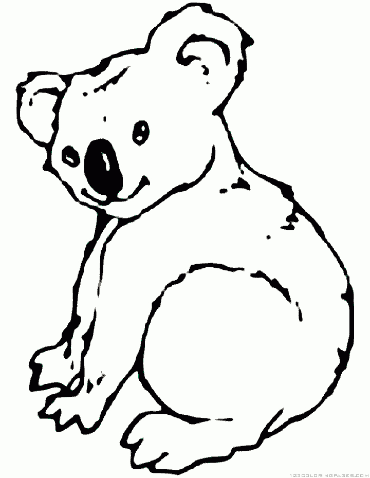 Un koala posé sur une branche d'eucalyptus à colorier