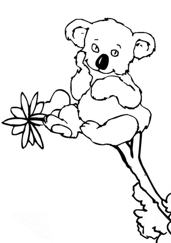 Un koala joyeux perché dans un arbre feuillu