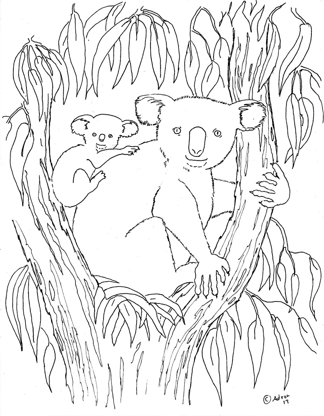 Koala se reposant sur une branche d'eucalyptus dans la nature