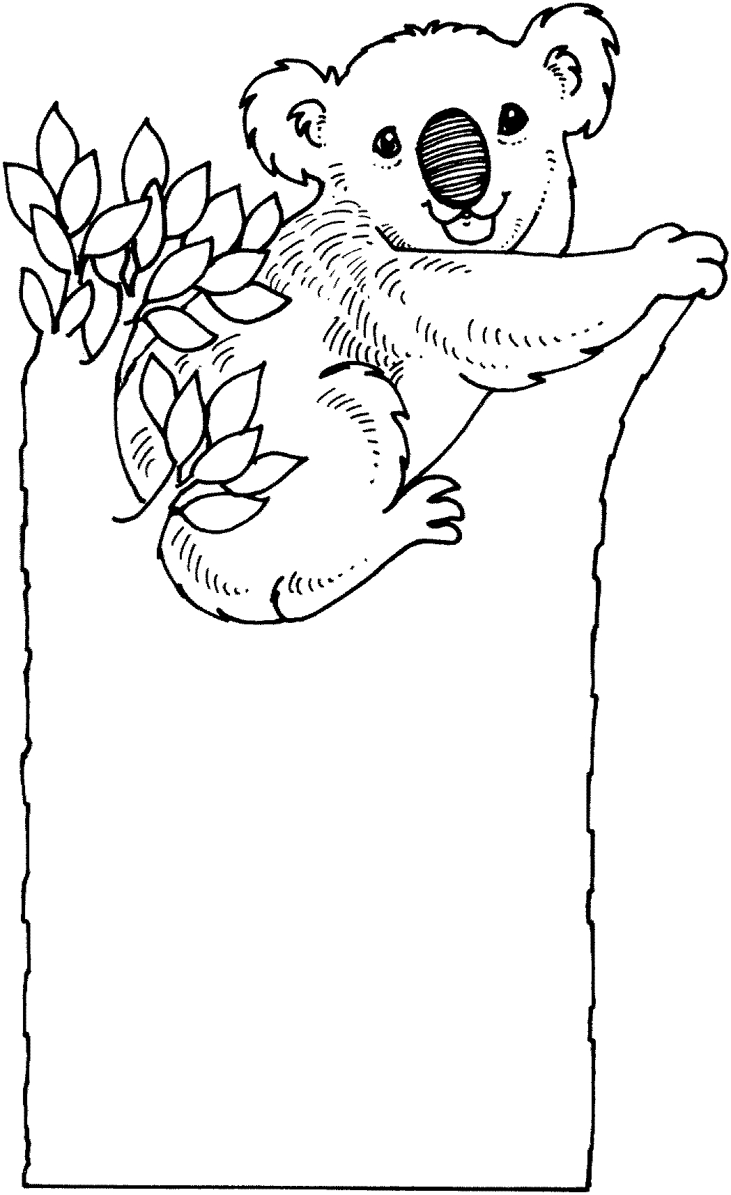 Koala mignon perché sur une branche d'eucalyptus