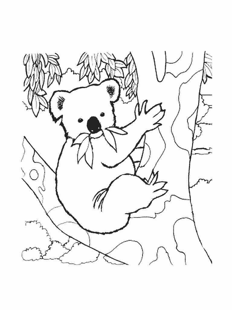 Un koala paisiblement accroché à un arbre sous un ciel serein