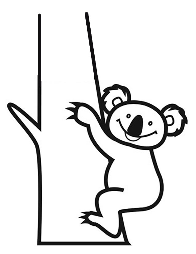 Coloriage d'un koala perché sur une branche d'eucalyptus