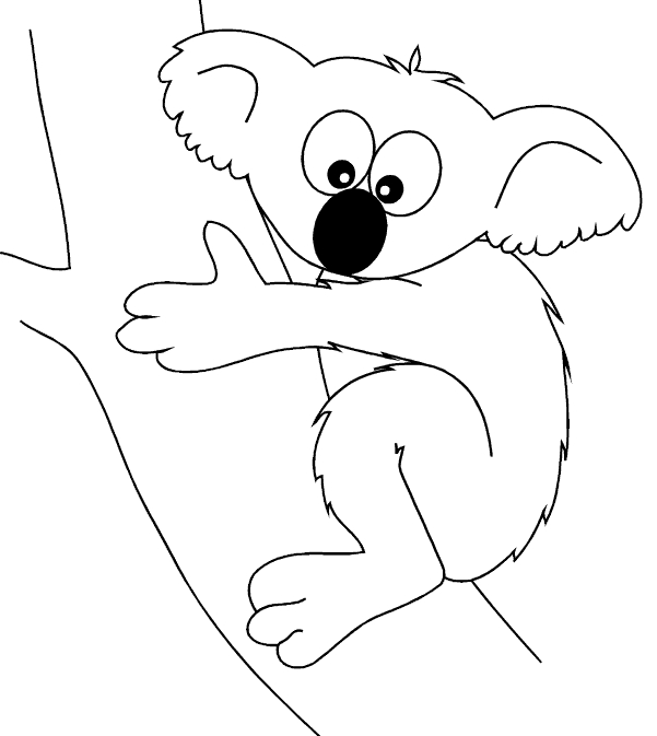 Un koala se reposant sur une branche d'eucalyptus
