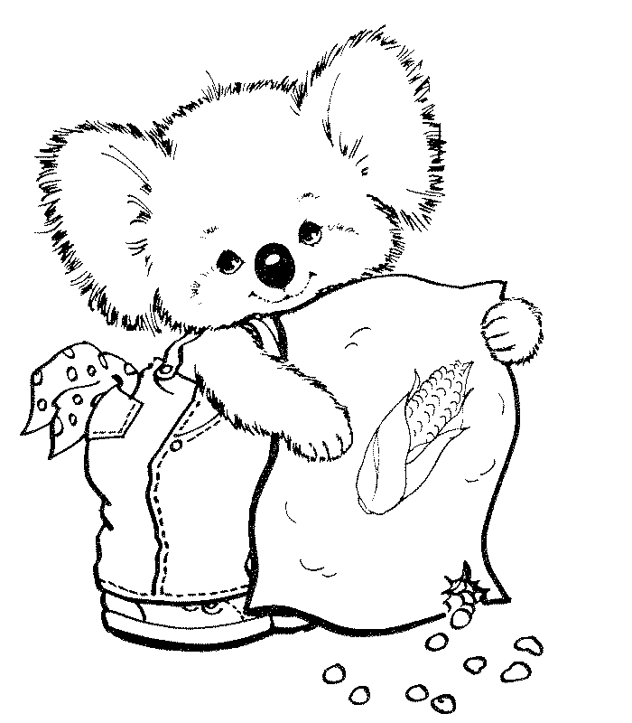 Koala câlinant un arbre dans son habitat naturel