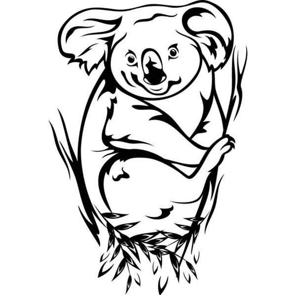 Un koala paisible se reposant sur une branche d'eucalyptus