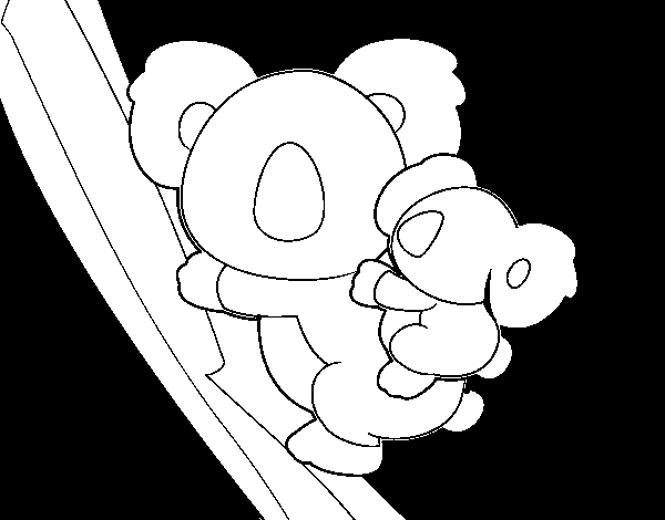 Koala assis sur une branche d'eucalyptus dans son habitat naturel