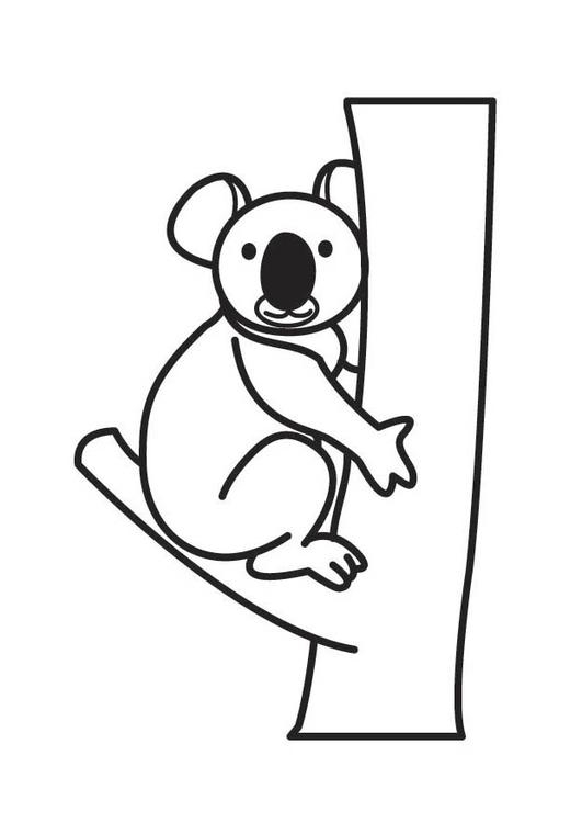 Un koala paisible se reposant sur une branche d'eucalyptus