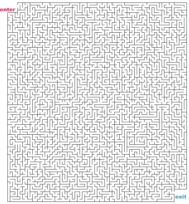 Labyrinthe complexe avec chemins sinueux et éléments décoratifs