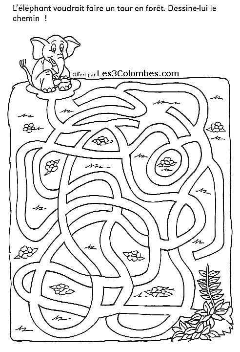 Labyrinthe complexe avec chemins et obstacles variés