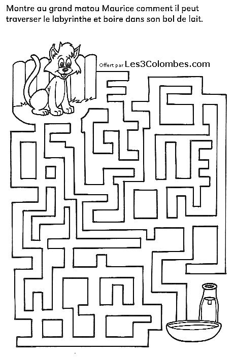 Coloriage d'un labyrinthe aux chemins sinueux et aux motifs variés
