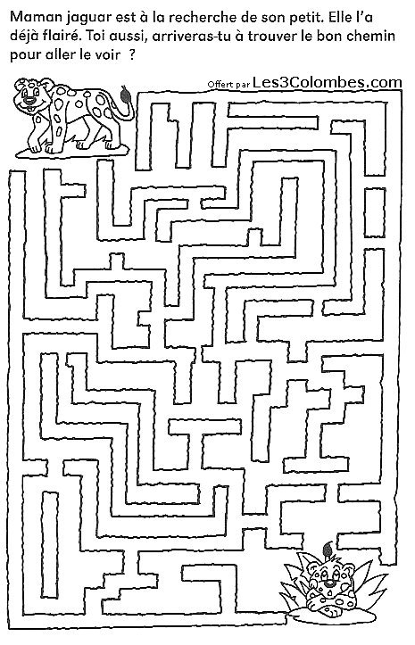 Coloriage de labyrinthes avec des chemins entrecroisés et des motifs variés