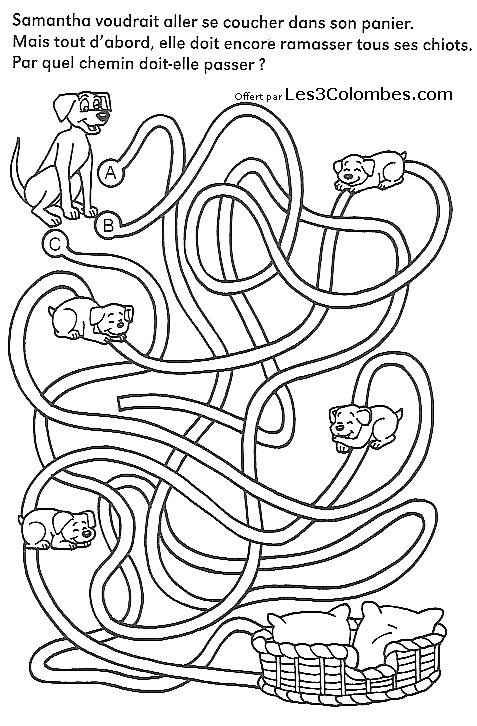 Un labyrinthe complexe avec des chemins sinueux et des obstacles à surmonter