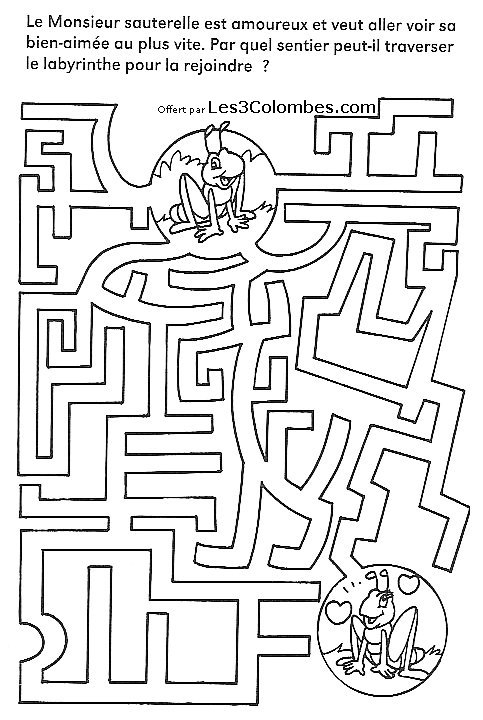 Labyrinthe complexe avec chemins entrelacés et éléments variés