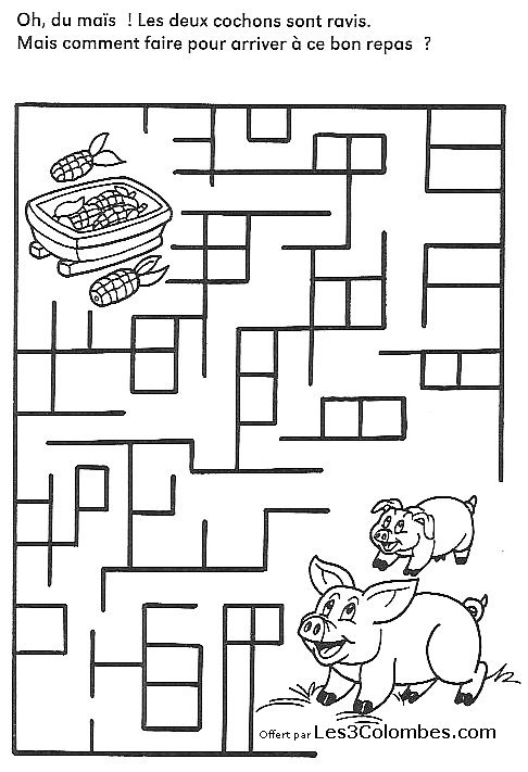 Coloriage d'un labyrinthe complexe avec des chemins sinueux et des motifs variés