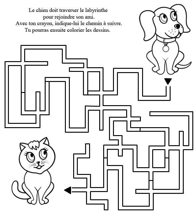 Labyrinthe complexe avec chemins sinueux et sorties mystérieuses