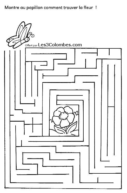 Labyrinthe complexe avec chemins sinueux et motifs variés