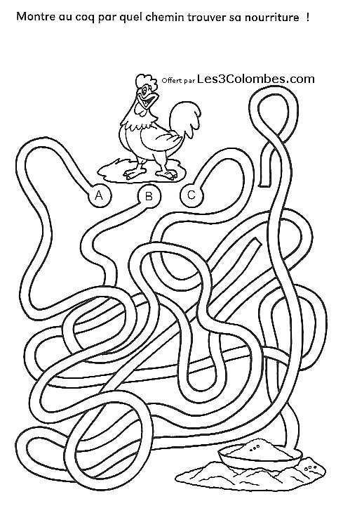 Labyrinthe complexe à explorer avec des chemins enchevêtrés