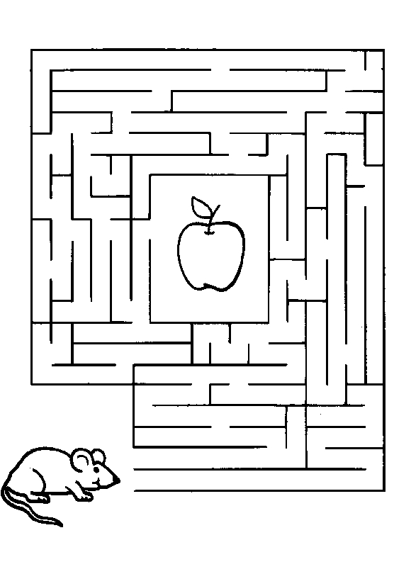 Coloriage d'un labyrinthe complexe avec des motifs variés