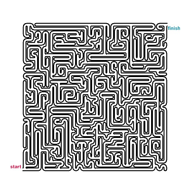 Coloriage d'un labyrinthe complexe avec chemins sinueux et éléments naturels
